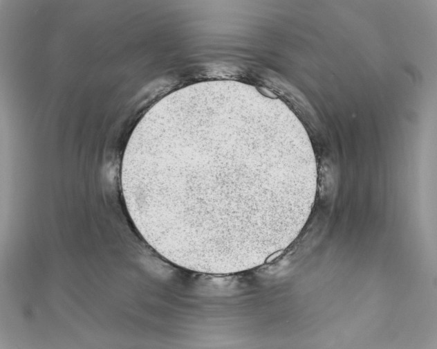 X0000110760329200907271149