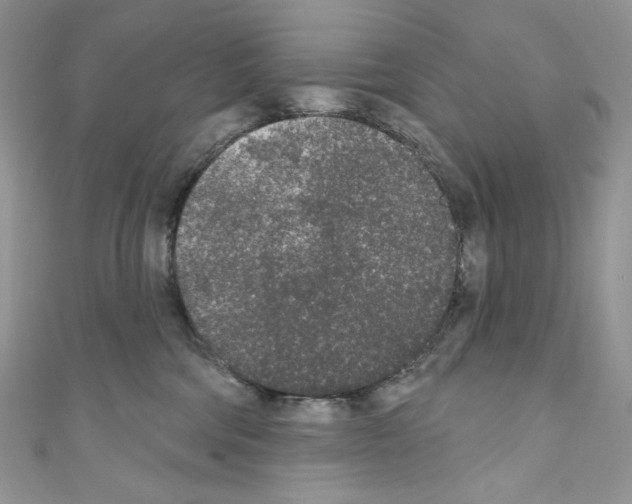 X0000110760330200907271149