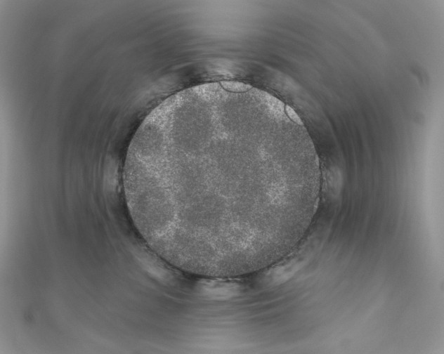 X0000110760331200907271149