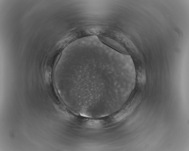X0000110760332200907271149