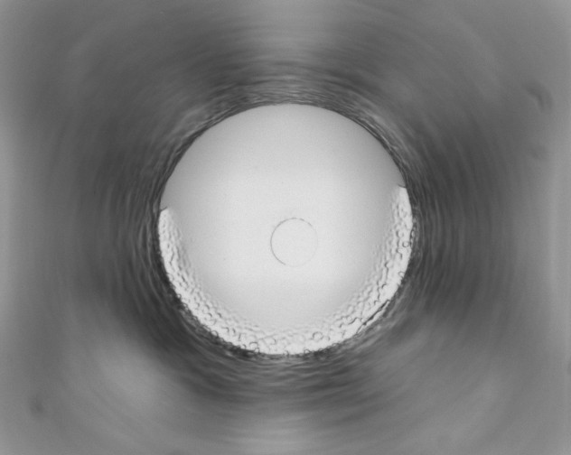 X0000110760333200907271149
