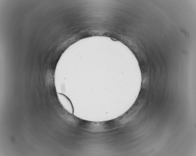 X0000110760335200907271149