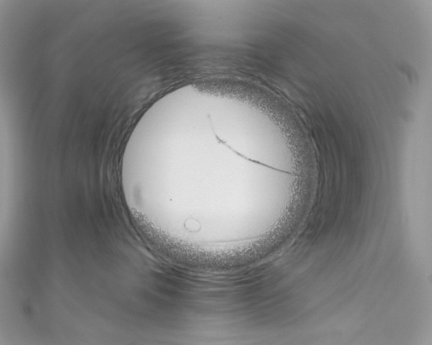 X0000110760336200907271149