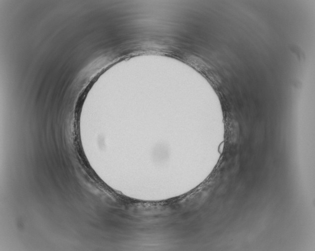 X0000110760338200907271148