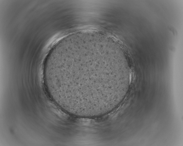 X0000110760339200907271148