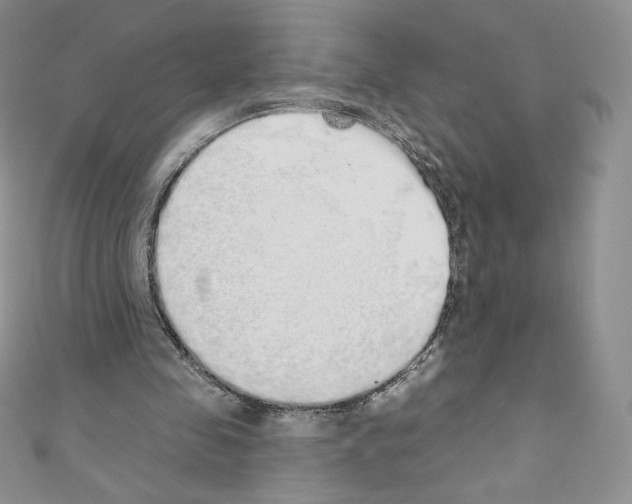 X0000110760341200907271148