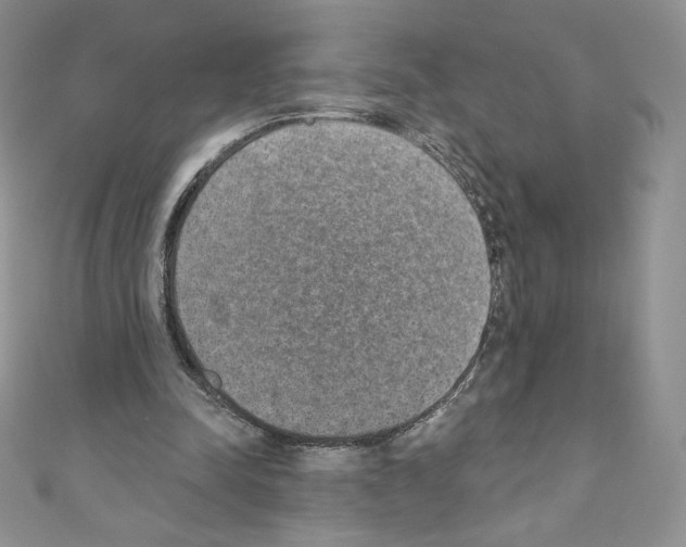 X0000110760342200907271148