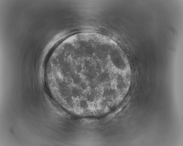 X0000110760343200907271148