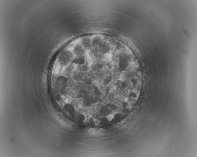 X0000110760346200907271148