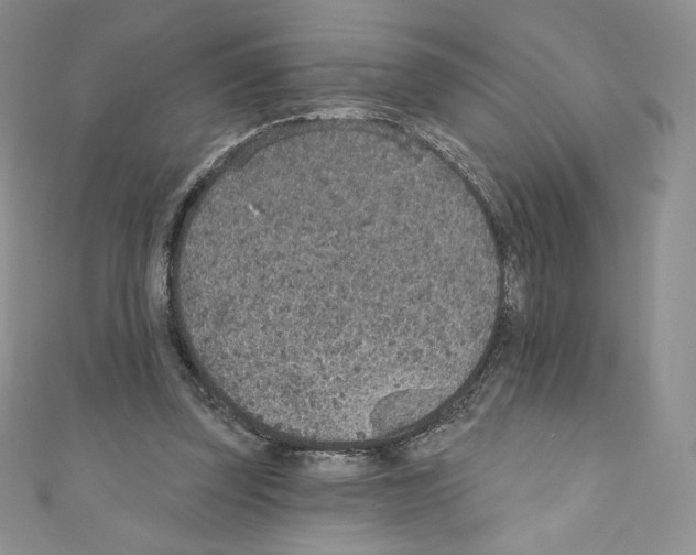 X0000110760347200907271148