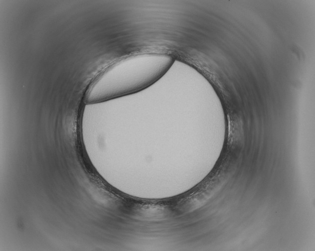 X0000110760348200907271148