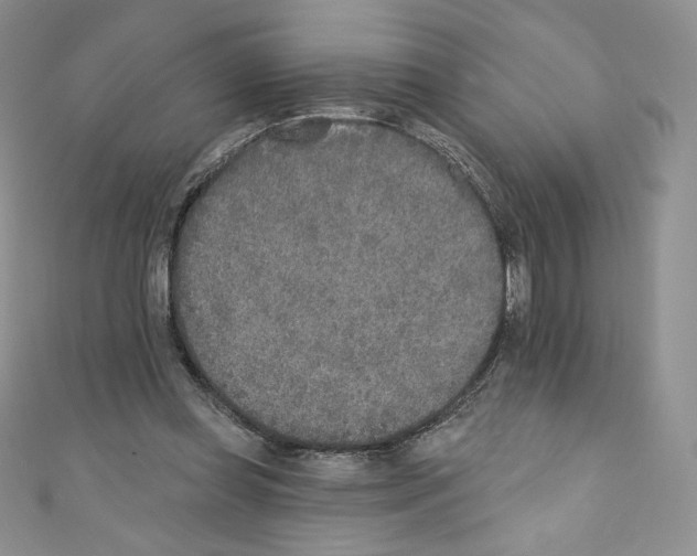 X0000110760349200907271148