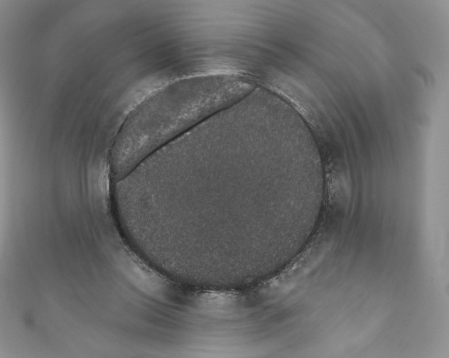 X0000110760350200907271148