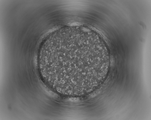 X0000110760353200907271148