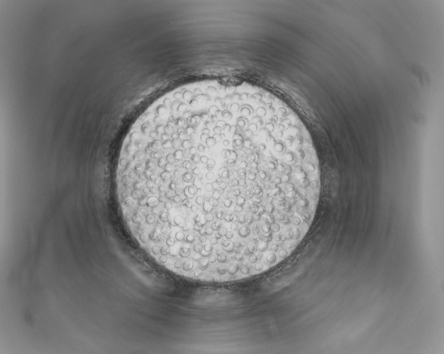 X0000110760354200907271148