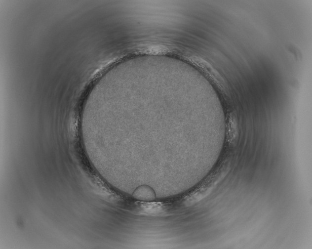 X0000110760355200907271148