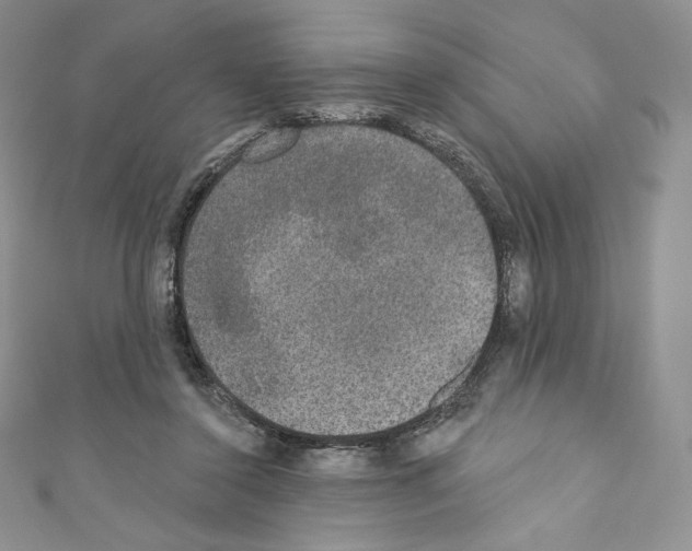 X0000110760356200907271148