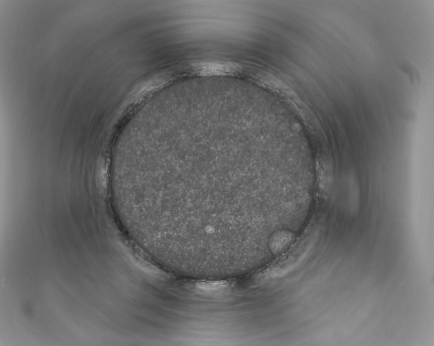 X0000110760357200907271148