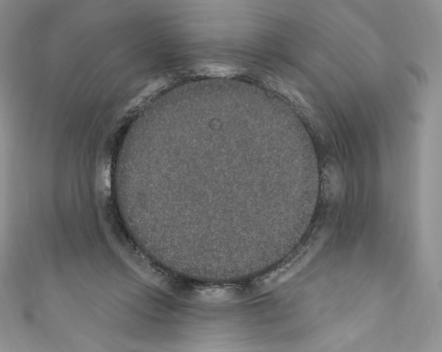 X0000110760358200907271148
