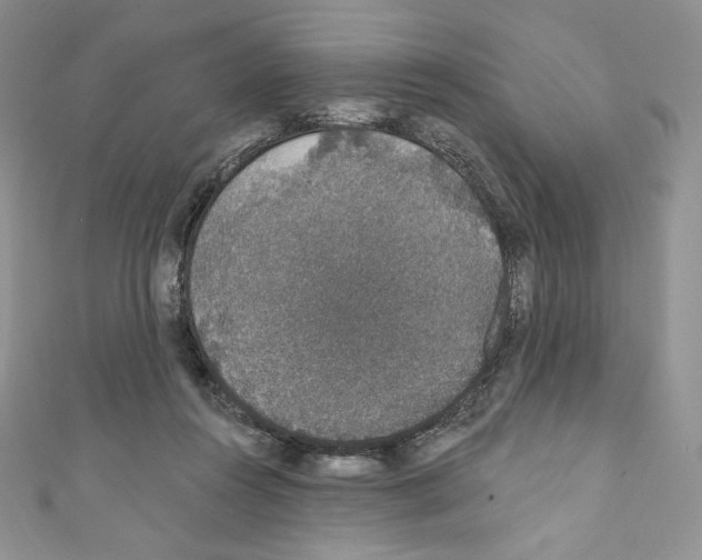 X0000110760360200907271148