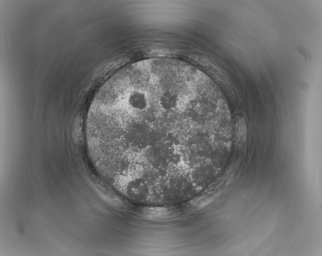 X0000110760361200907271148
