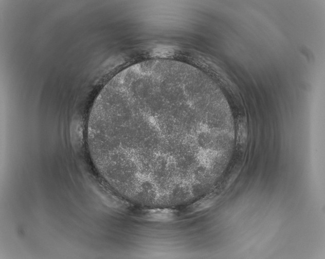 X0000110760363200907271148