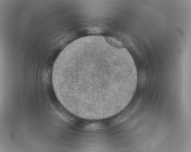 X0000110760364200907271148