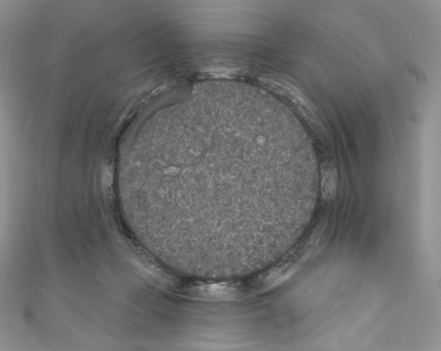 X0000110760365200907271148