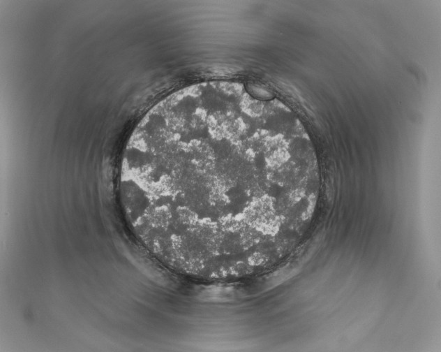 X0000110760366200907271148