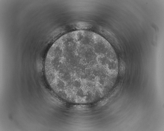 X0000110760367200907271148