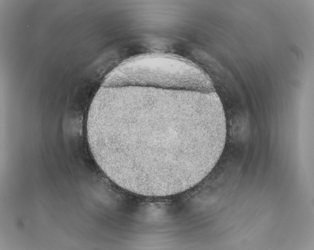 X0000110760368200907271148