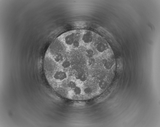 X0000110760369200907271148