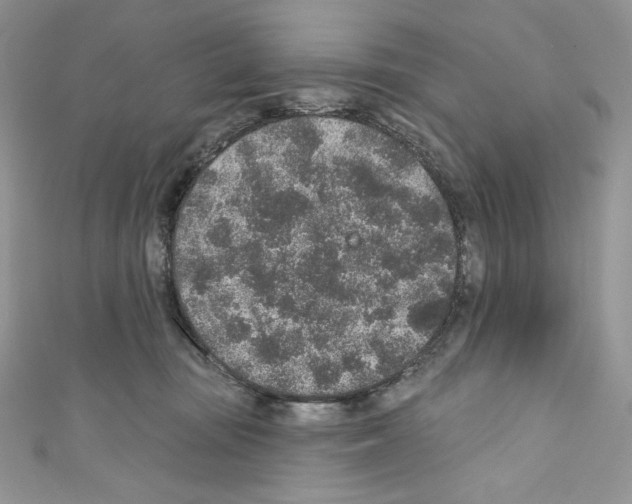 X0000110760371200907271148