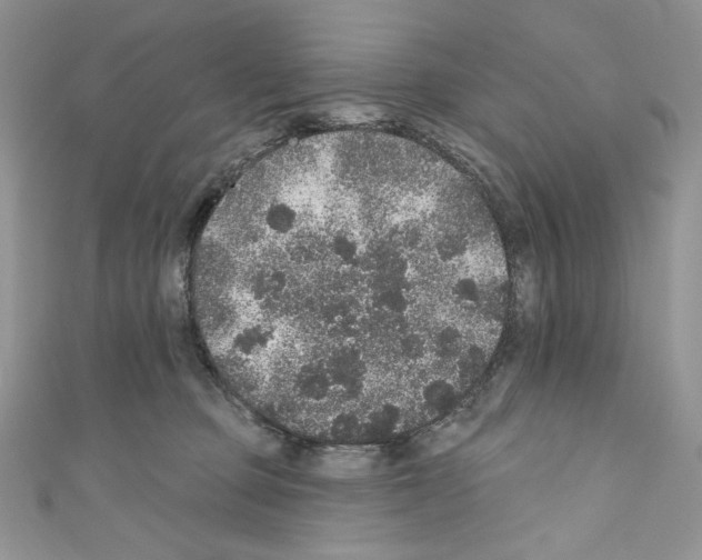 X0000110760373200907271149