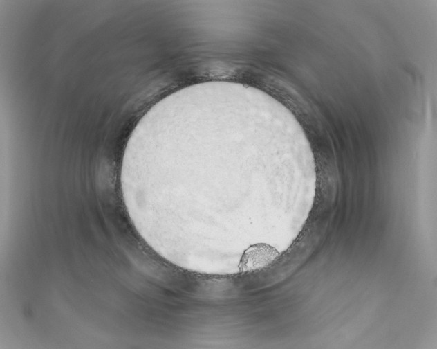 X0000110760374200907271149