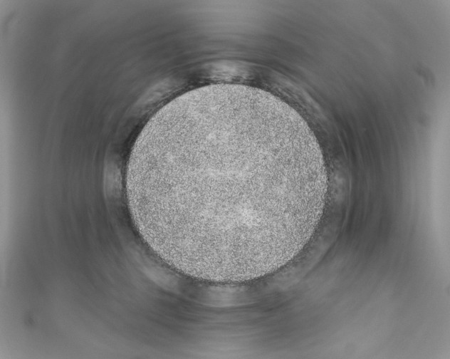 X0000110760375200907271149