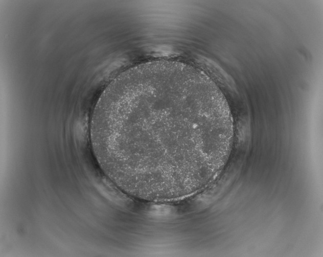 X0000110760376200907271149