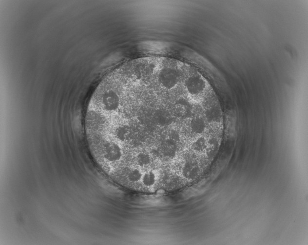 X0000110760377200907271149