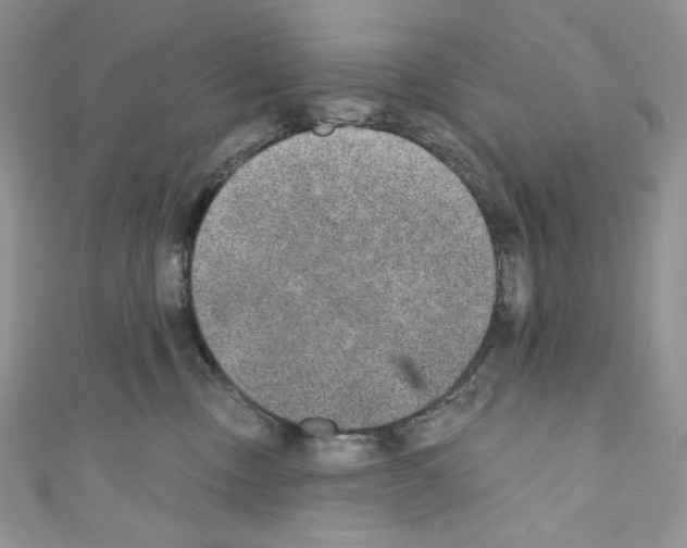X0000110760378200907271149