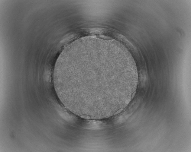X0000110760379200907271149
