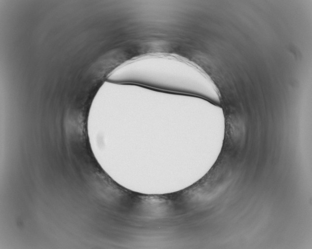 X0000110760380200907271149