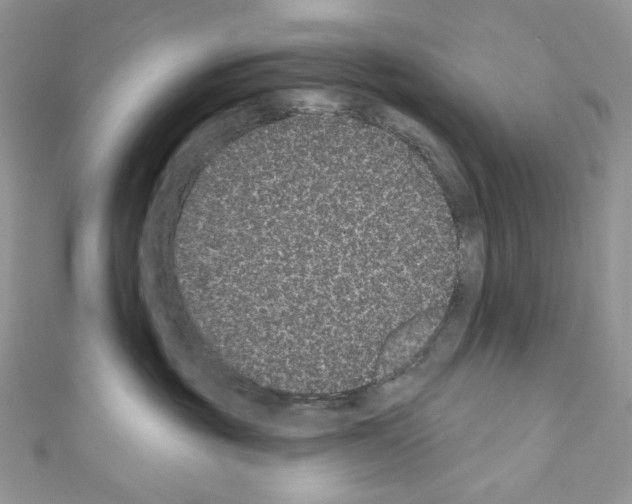 X0000110760381200907271149