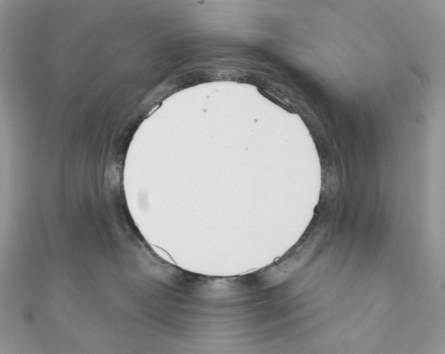 X0000110760382200907271149