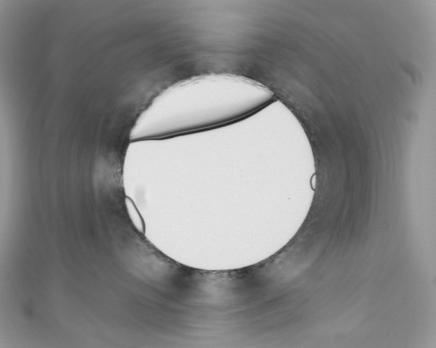 X0000110760384200907271149
