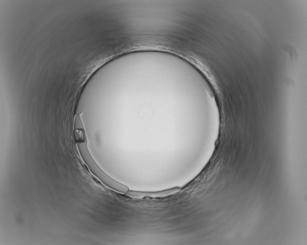 X0000110760385200907271148