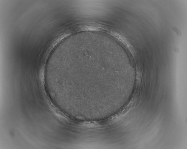 X0000110760386200907271148