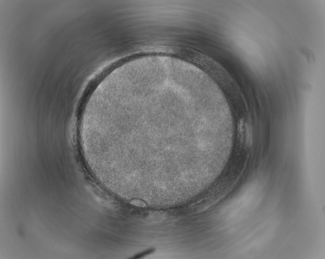 X0000110760388200907271148