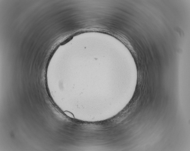 X0000110760389200907271148