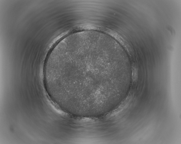X0000110760390200907271148