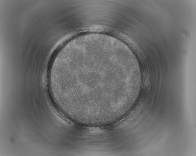 X0000110760392200907271148